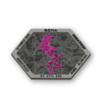 Maratona di Roma 2025 - immagine 4